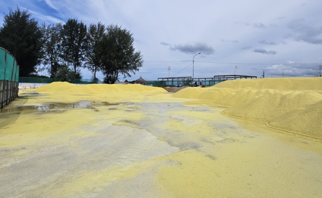 PEMA Kapalkan 4.000 Ton Sulfur dari Aceh ke Sulawesi Selatan untuk Industri